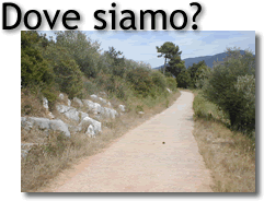 Dove Siamo?